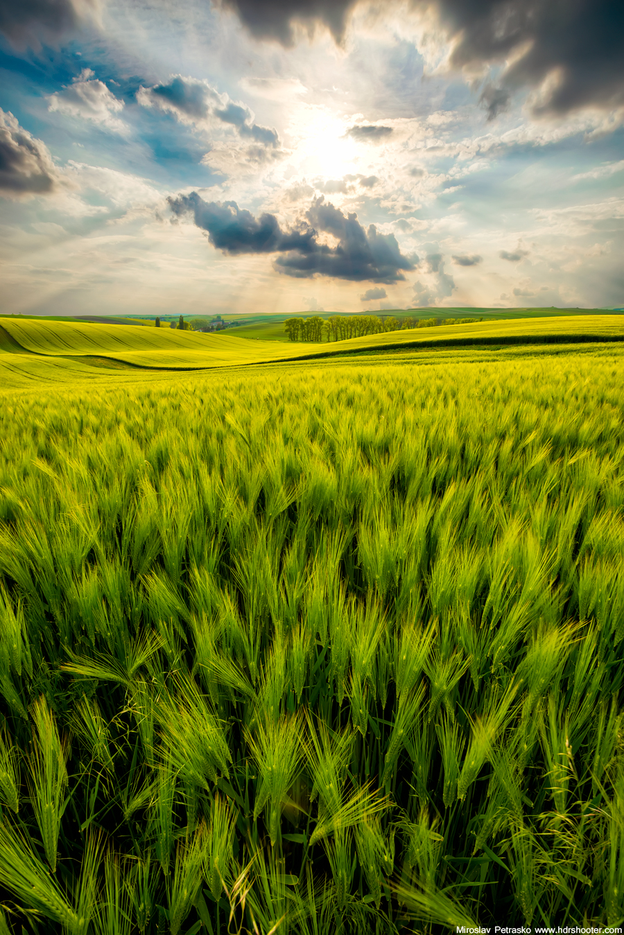 Spring landscape - HDRshooter