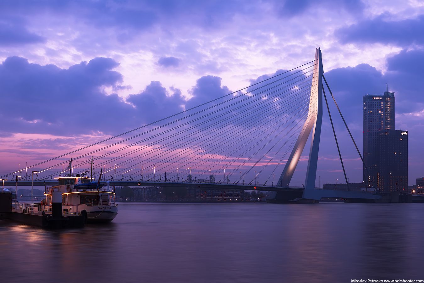 erasmus bridge