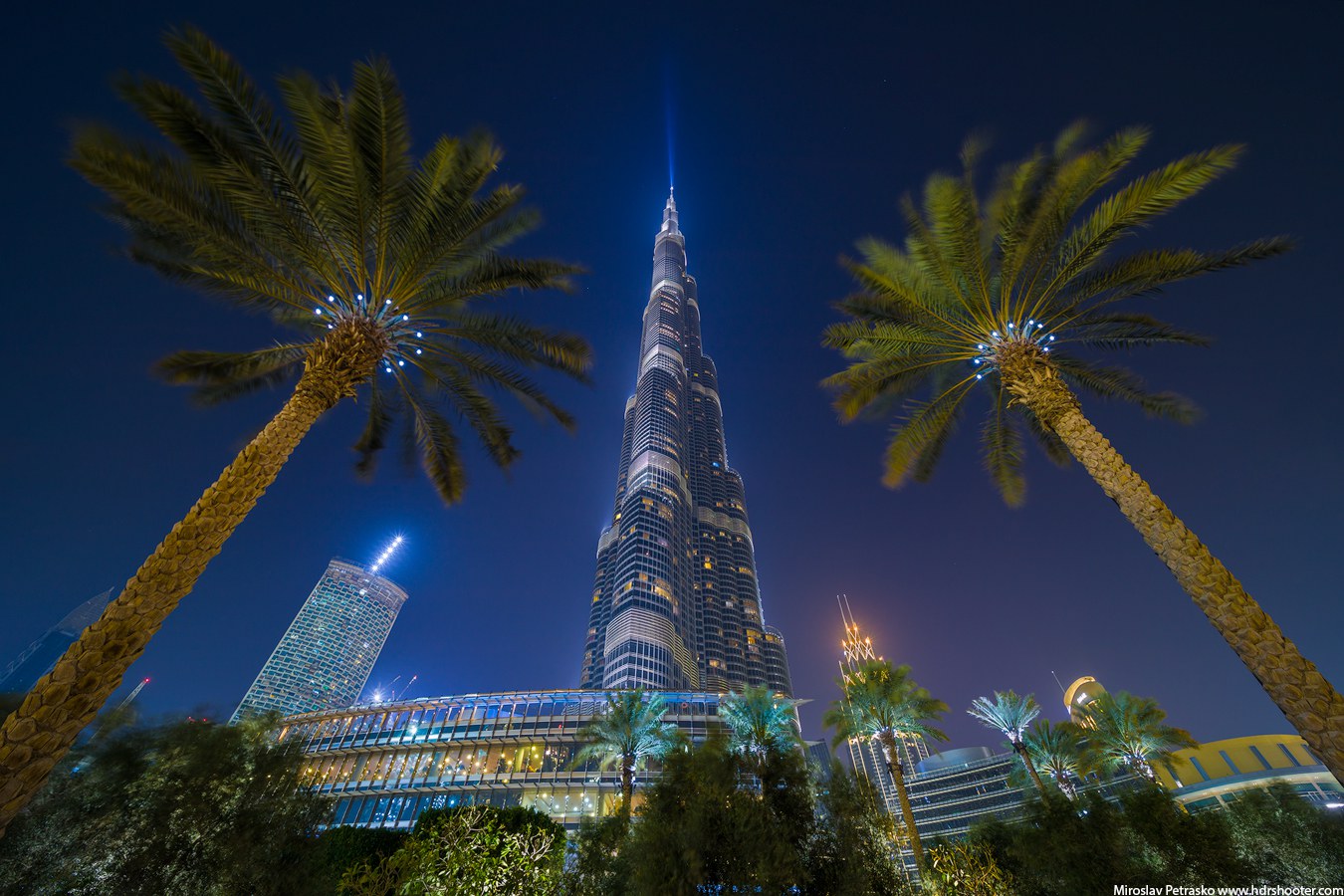 Palm Angels(Apparel) in Burj Khalifa, Dubai - HiDubai